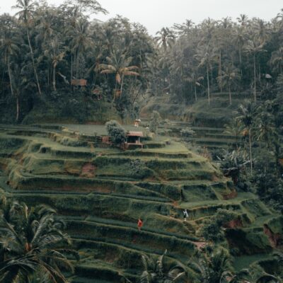 radoslav-bali-ca3d4FYDf84-unsplash Lifestyle and Travel
